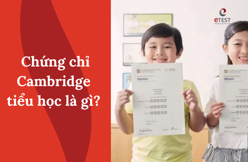 Chứng chỉ Cambridge là gì và vì sao trẻ em tiểu học cần đạt được?